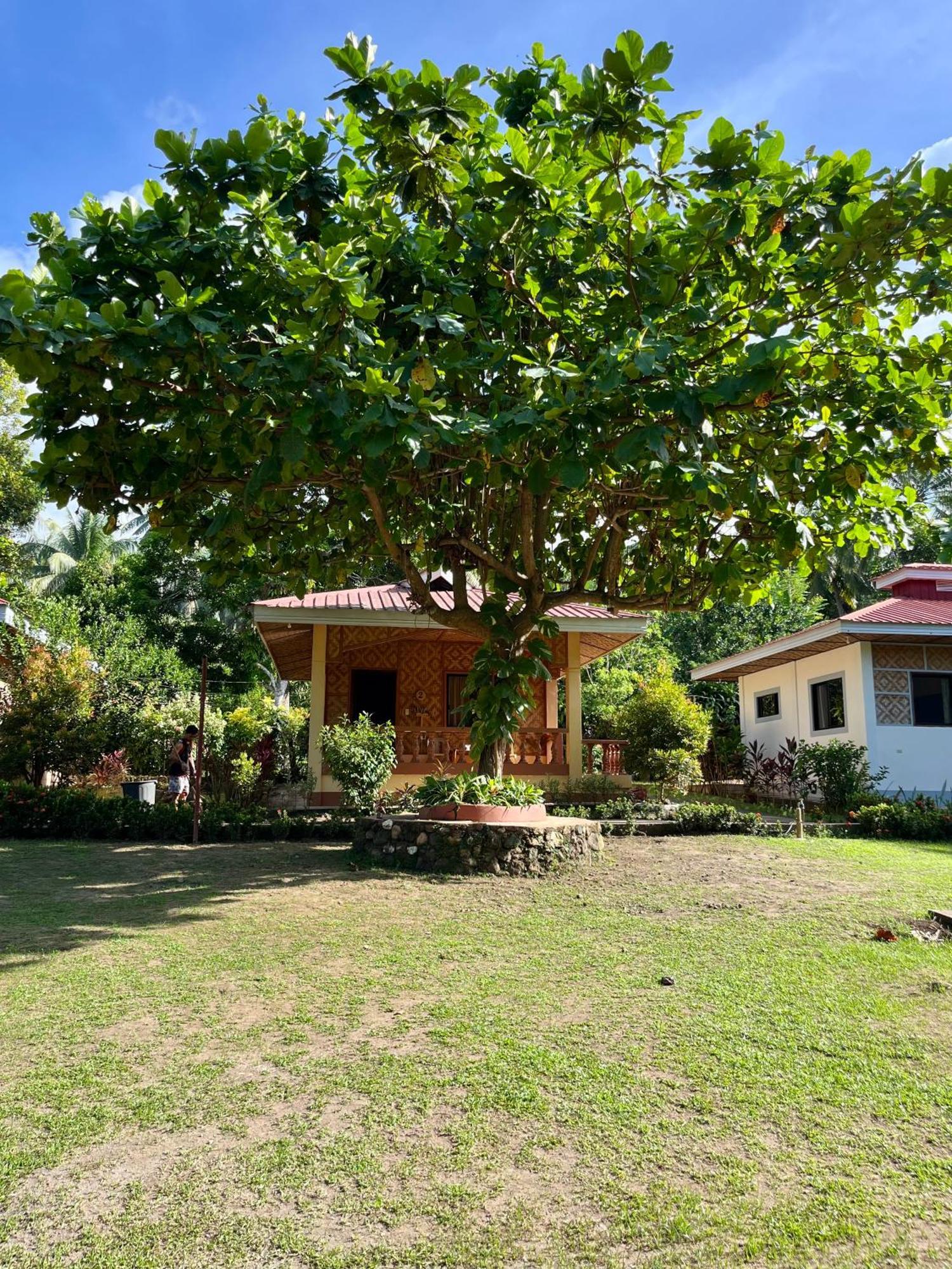Paco'S Garden Home Stay Mambajao Εξωτερικό φωτογραφία